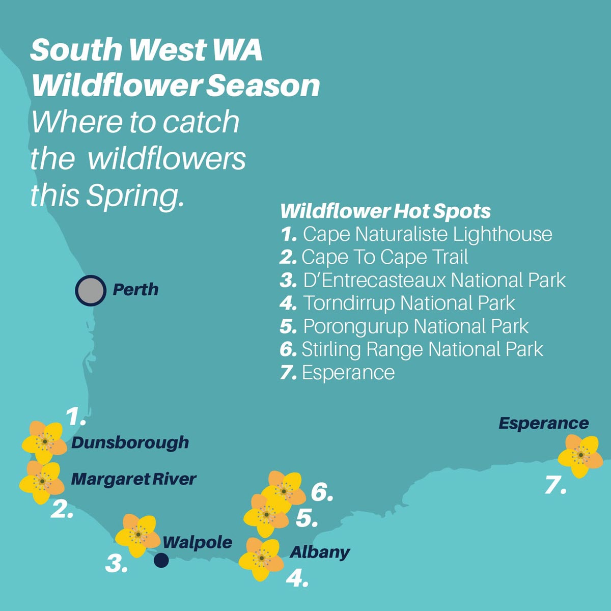 Wildflower Season WA Find Australian Native Wildflowers 2023
